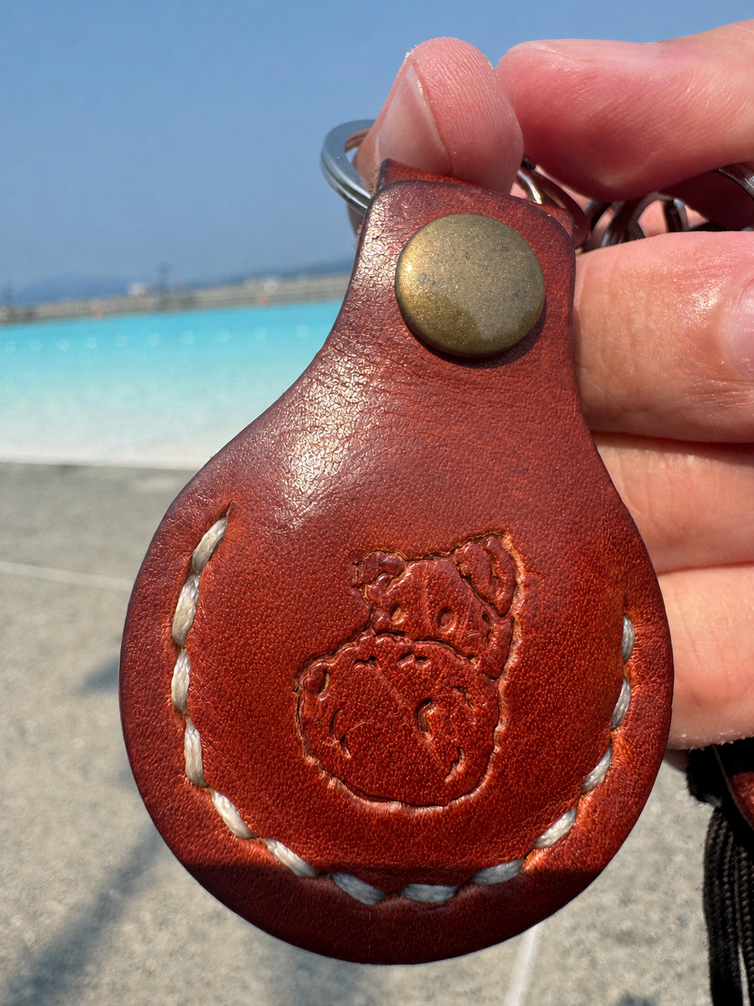 HP-17 Hip-Po AirTag Keychain — Horween Dublin